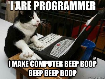 cat in r programming|More.